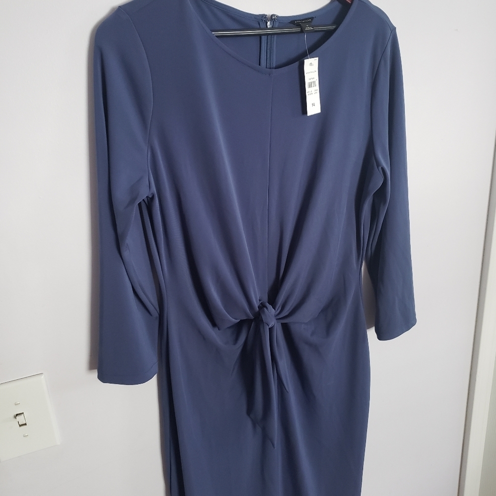 Ann Taylor dress size 14